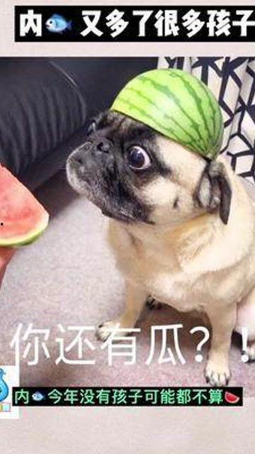 娱乐圈子吃瓜群众是谁,揭秘“吃瓜群众”背后的神秘力量