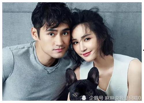 黄瓜娱乐圈爆料吃瓜明星,娱乐圈黄瓜爆料,明星吃瓜大揭秘